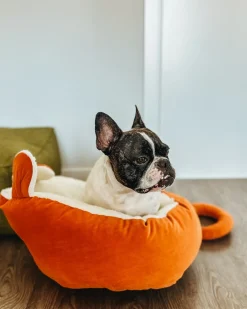 Cuccia per animali HASSA Velluto Arancione