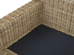 Divano da giardino 2 posti ARDEA Rattan Marrone chiaro