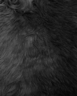 Pelle di Pecora ULURU Nero 65 x 110 cm