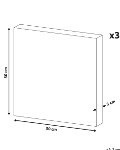 Set di 3 tele APESIKA Motivo naturale 30 x 30 cm Oro